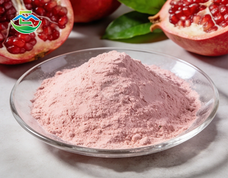 Polyphenol-Rich Pomegranate Fruit Extract